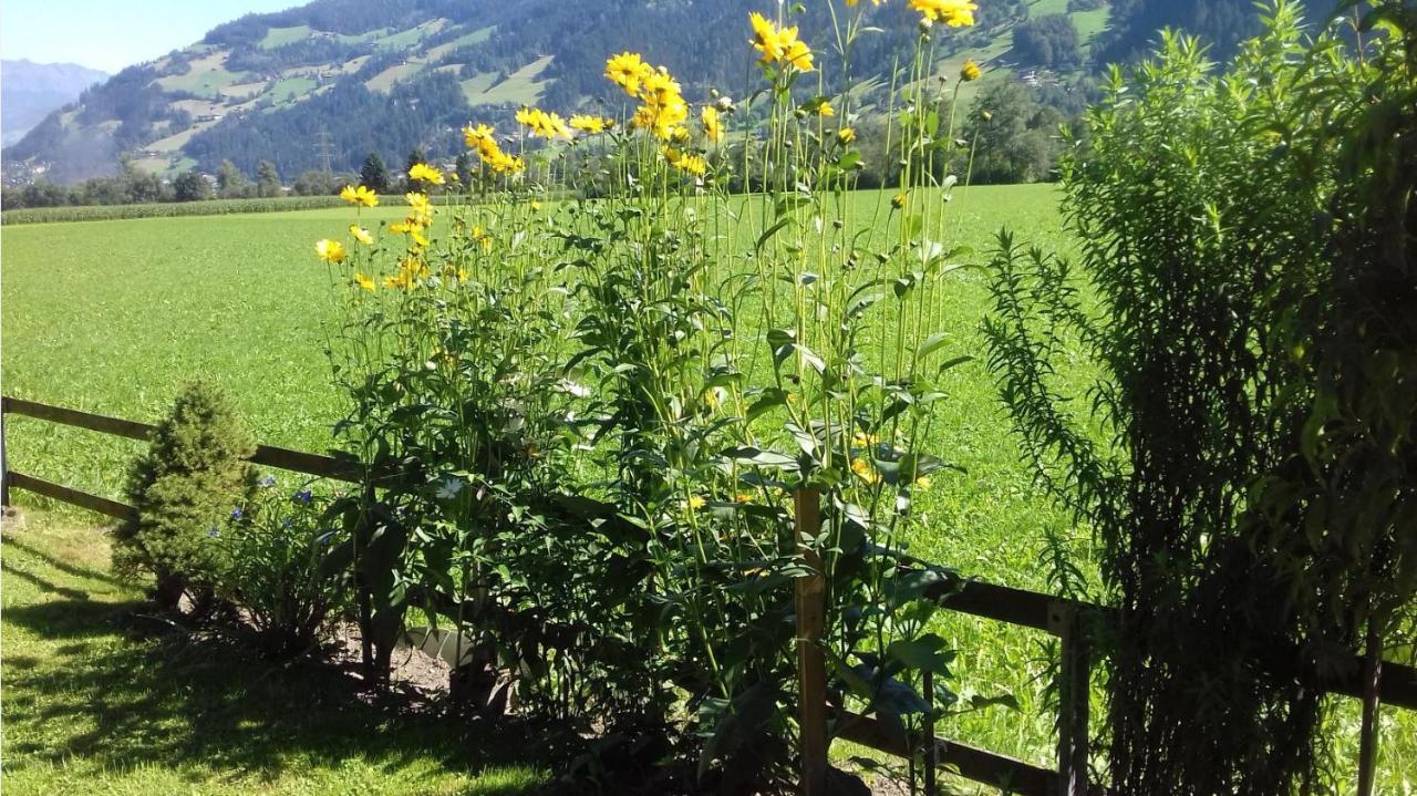 Haus Kreidl Bed & Breakfast Schwendau Dış mekan fotoğraf